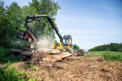Harvester Stammaufarbeitung Weitwinkel